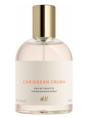H and M Caribbean Crush