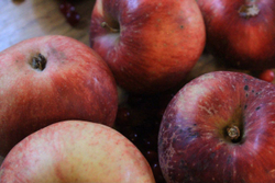 Яблоки сезонные