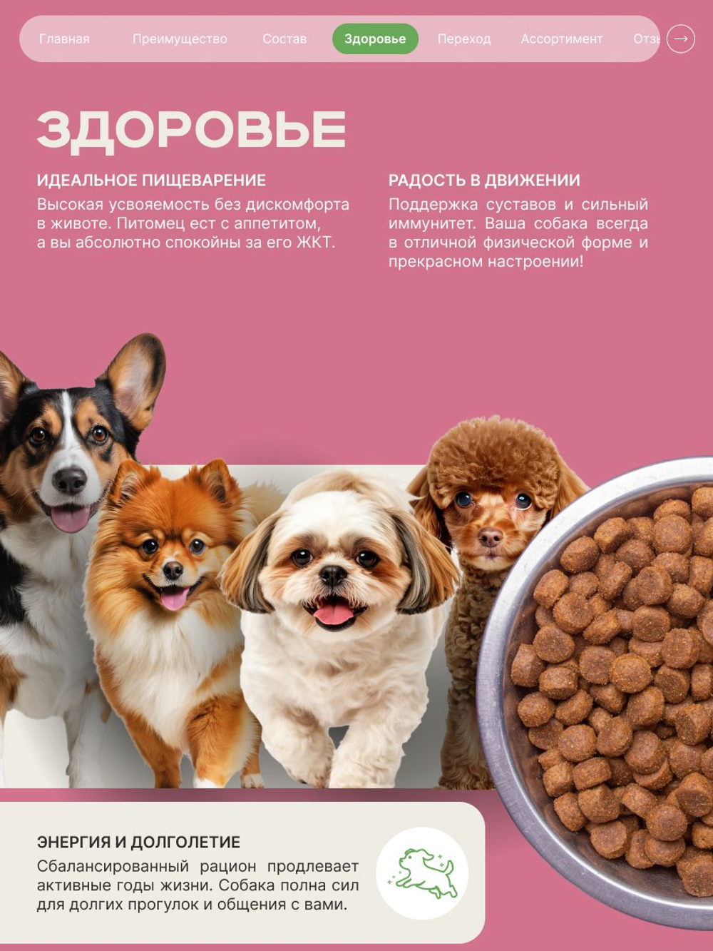 Корм сухой для взрослых собак породы Такса (стандартная), с ягненком, 2,5 кг, QUATTRO