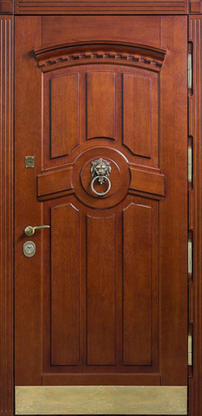Входная дверь 738