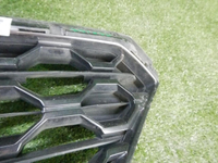 Решетка радиатора Hyundai Santa Fe 4 TM (2018-2021)