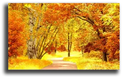 Постер "Осенний пейзаж"