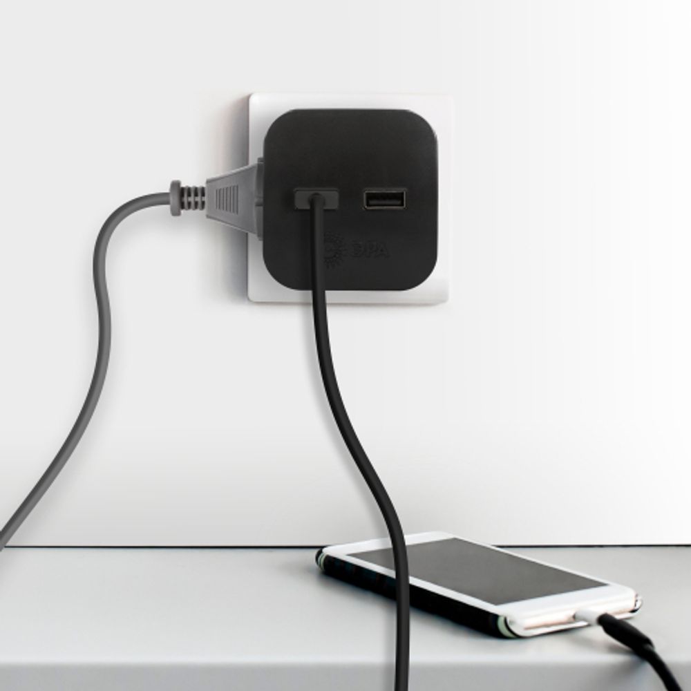 Разветвитель электрический ЭРА SP-2-USB-B на 2 розетки + 2xUSB 2400mA, без заземл 10А (черный)