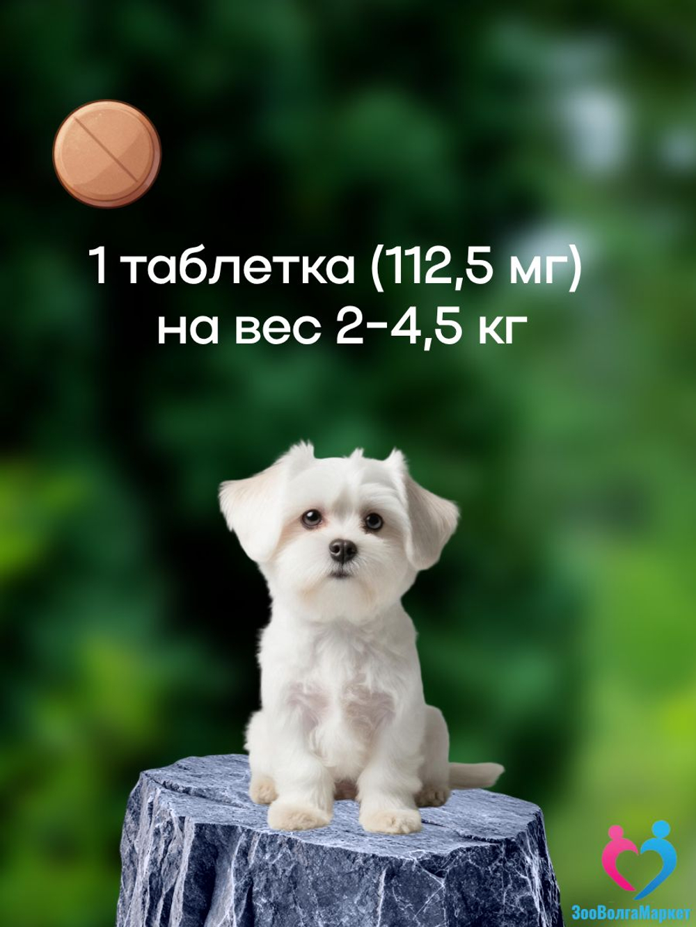 Рабектра 500 мг жевательная таблетка против блох и клещей для собак весом 10-20 кг, 1 таблетка