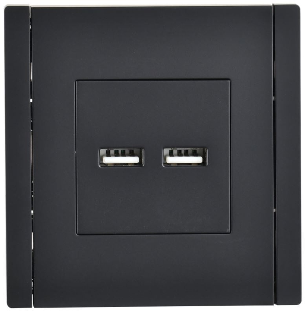Розетка USB  IEK FP-U21-D31-K02
