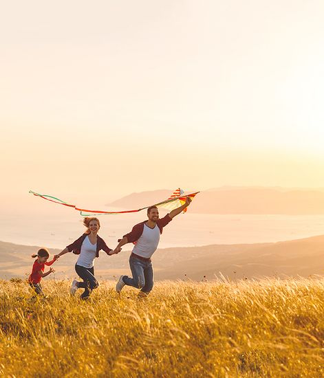 Счастье ароматический воск, Candle Warmers