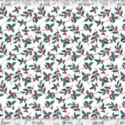 Рождественский остролист , падуб by Barysevich Iryna 857 DPI