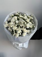 Моно букет из кустовых диантусов в белом оттенке 51 шт