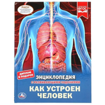 Энциклопедия А4 "Как устроен человек" с развив. задан. 48стр. коробка 978-5-506-04948-7 (Умка)