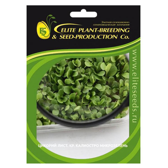 Семена_для_проращивания_цикория_листового_красного_Калиостро_Гавриш – фото 3