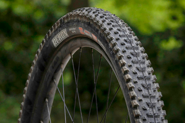 Свежая поставка MAXXIS 2025