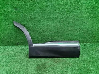 Накладка двери задняя Hyundai Santa Fe 4 (18-24)