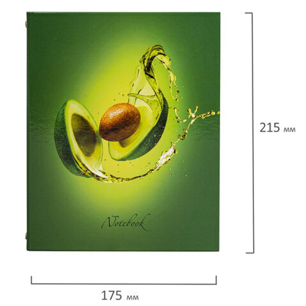 Тетрадь на кольцах А5 175х215 мм, 240 л., твердый картон, с разделителями, BRAUBERG, "Авокадо", 404098