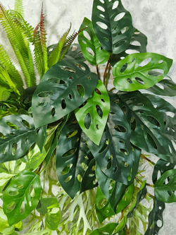 Ампельная зелень в деревянном настенном кашпо