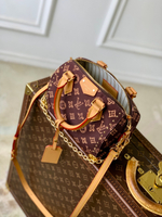 Louis Vuitton Speedy Trunk 20