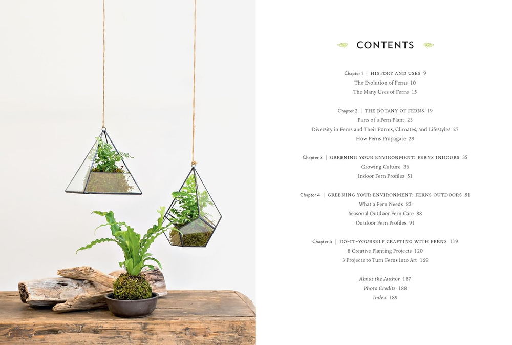 Ferns: Indoors - Outdoors - Growing - Crafting
