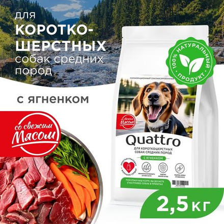 Корм сухой для взрослых собак средних пород, премиум полнорационный комплекс, для короткошерстных собак, с ягненком, 2,5 кг, QUATTRO