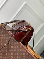 Louis Vuitton Express PM