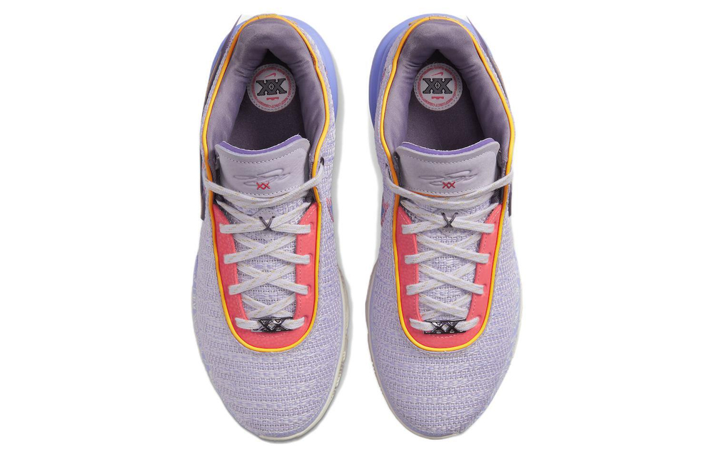 Кроссовки Nike Lebron 20 "Violet Frost" 20