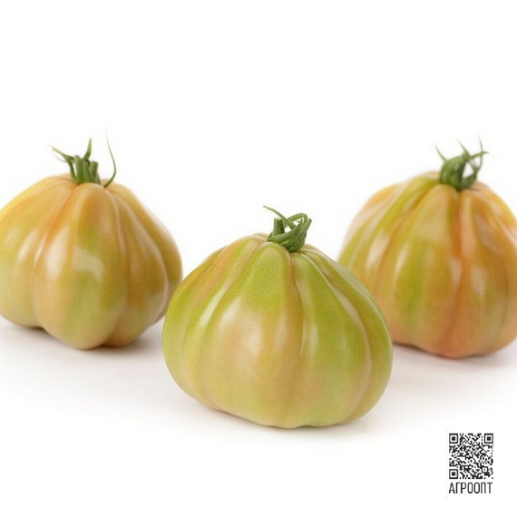 Ругантино F1 семена томата индетерминантного (Rijk Zwaan / Райк Цваан) – фото 8