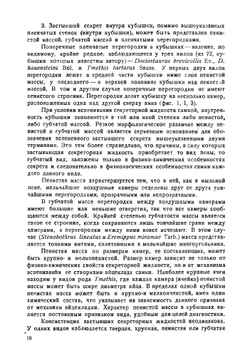 Определители по фауне СССР. Том 23. Кубышки саранчевых. | Л. Зимин