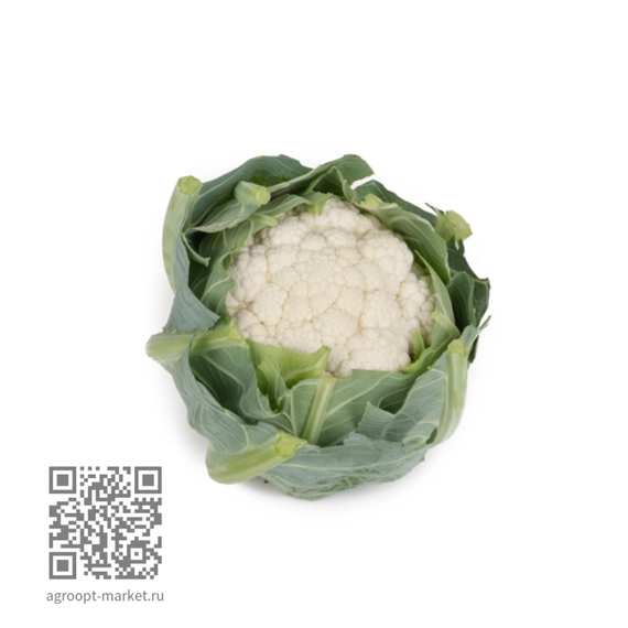 Йонссон_F1_семена_капусты_цветной_Rijk_Zwaan_купить – фото 1