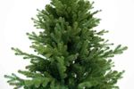 Ель искусственная «Кредо» (Литая+пвх) 150 см / 1.5 м