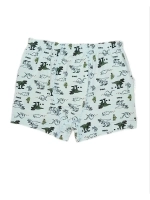 Комплект майка и боксеры для мальчика хлопок