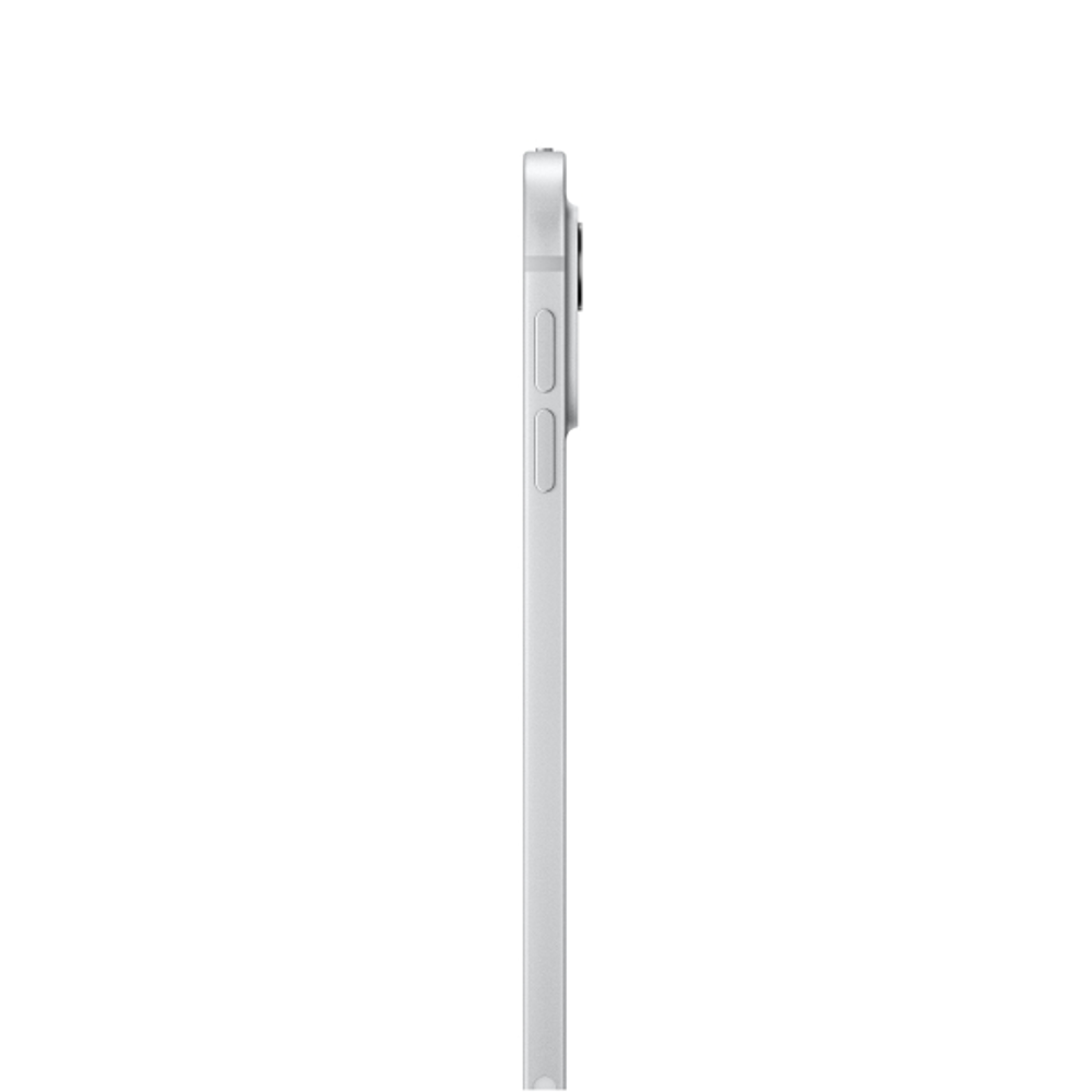 iPad Pro 11" M4 (2024)
