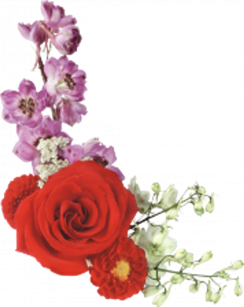 Issey Miyake - очарование Японии.