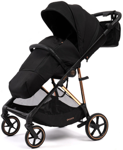 Прогулочная коляска Peppy Amici с автокреслом First Black Black рама Gold