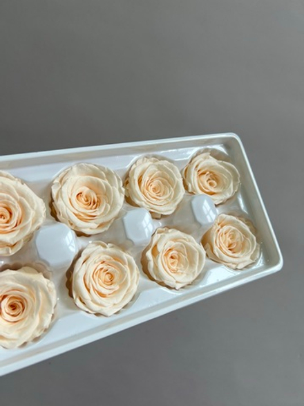 Роза классическая персиковая d=4-5 см (упак 8 шт)