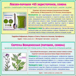 Характеристика левзеи порошка с экдистероном