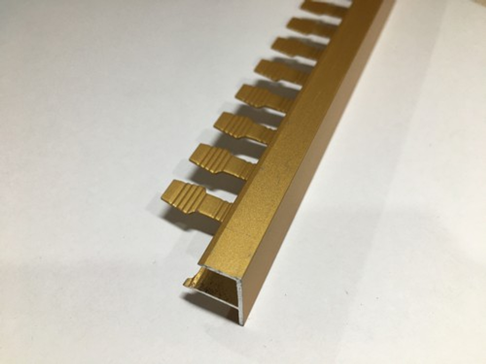 АЛТПг 10мм "DO-1" 2,7м Золото мат. окантов. гиб. анод. алюм.