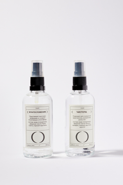 Спрей PURITY / ЧИСТОТА