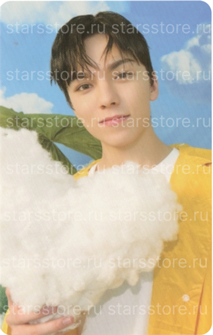 Фотокарта Vernon SEVENTEEN - SEVENTEENTH HEAVEN Carat Ver.