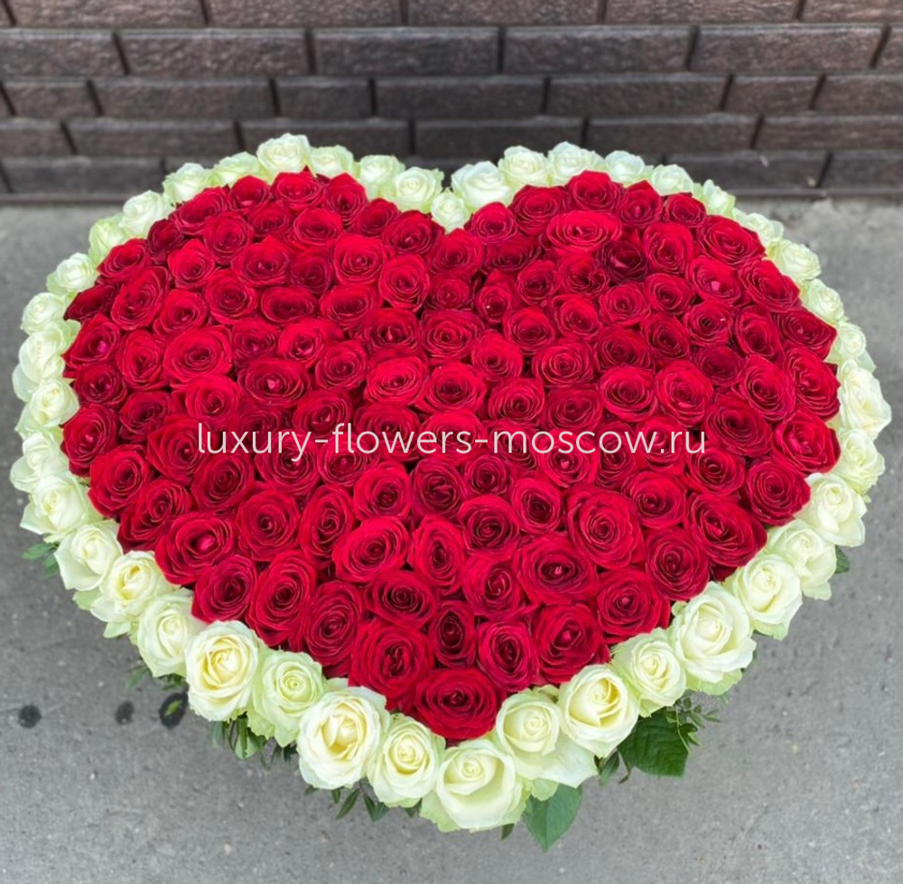 225 роз сердце с белым контуром