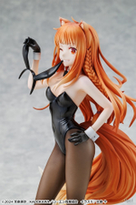 Holo