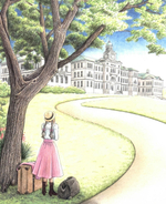 Daddy Long Legs. Coloring Book