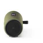 Яндекс.Станция Стрит Olive, оливковый