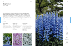 The Flower Thesaurus: Colourful Pairings and Plant Ideas for the Creative Gardener