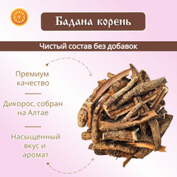 Бадан корень.