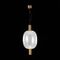 Подвесной светодиодный светильник ST Luce Allenore SL1582.313.01