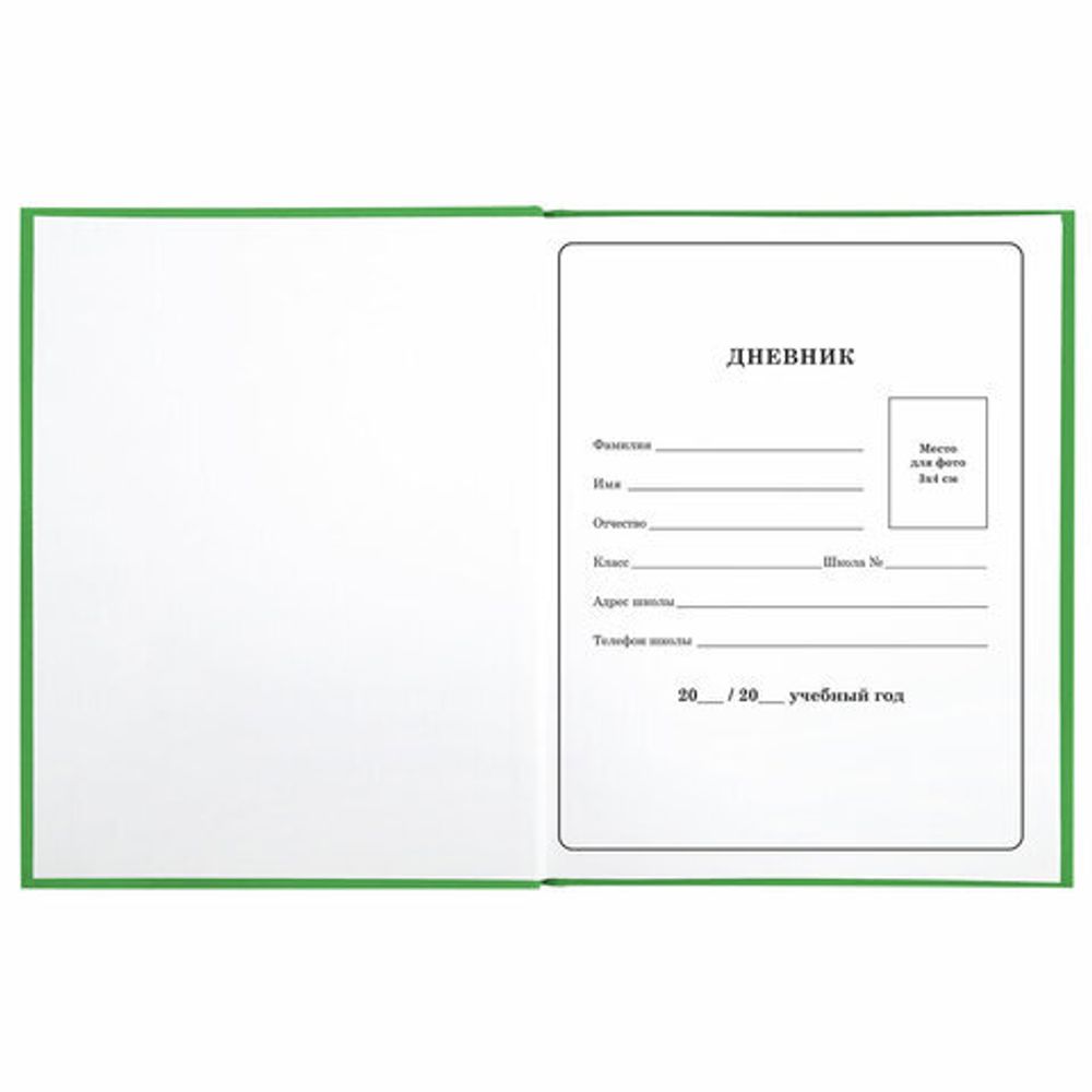 Дневник 1-4 класс 48 л., твердый, BRAUBERG, глянцевая ламинация, с подсказом, "Авокадики", 106359