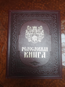 Семейный альбом родословная "Художественная", обложка из искусственной кожи