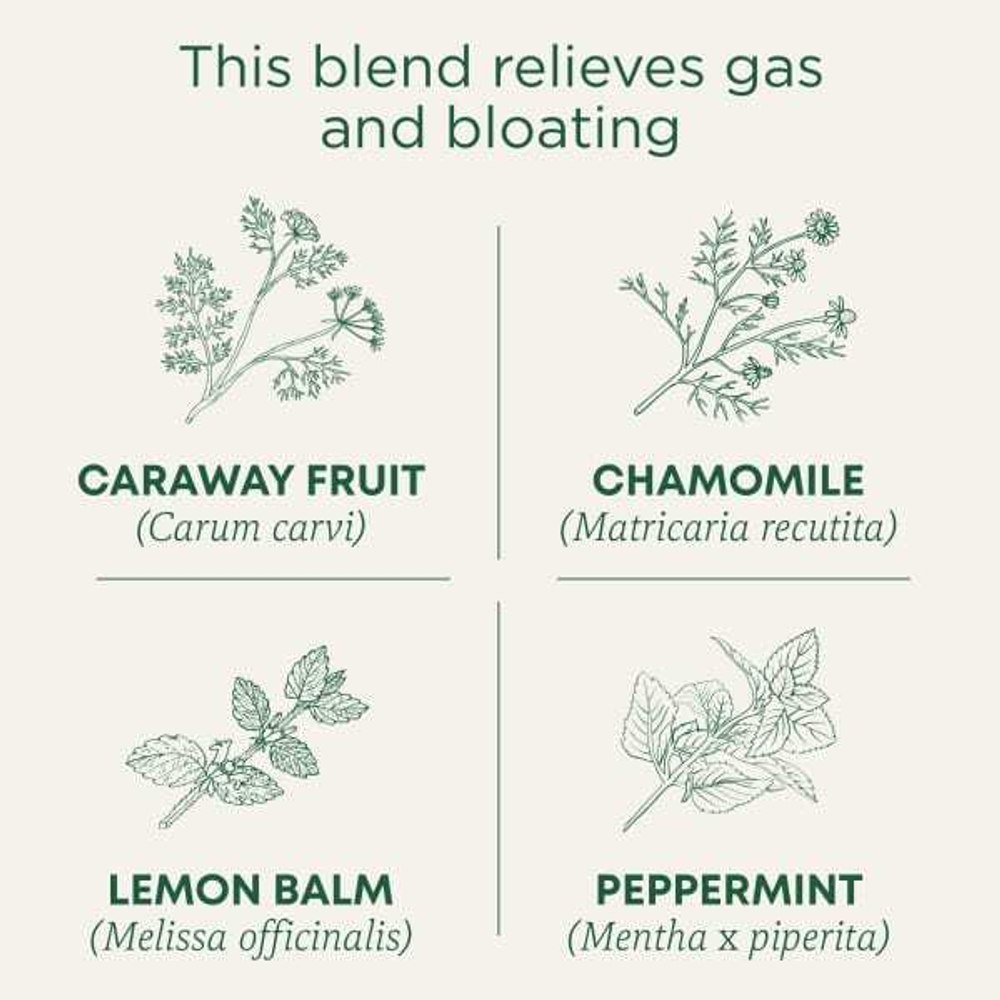 Traditional Medicinals, Organic Gas Relief, ромашка и мята, без кофеина, 16 упакованных чайных пакетиков, 24 г (0,85 унции)