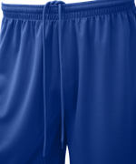 Шорты баскетбольные Camp Basic, синий