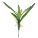 Цимбидиум 55см 7 листов