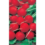 Семена Редис Жара (Марс) Б/П