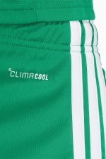 Шорты adidas Tiro 26 League - зеленый